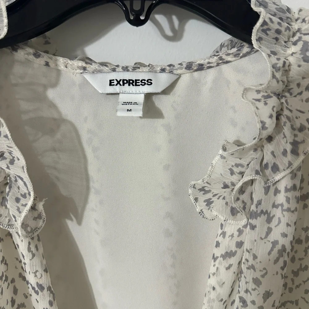 Express Ruffle V-Neck Blouse - Cream and Gray - Picture 2 of 4